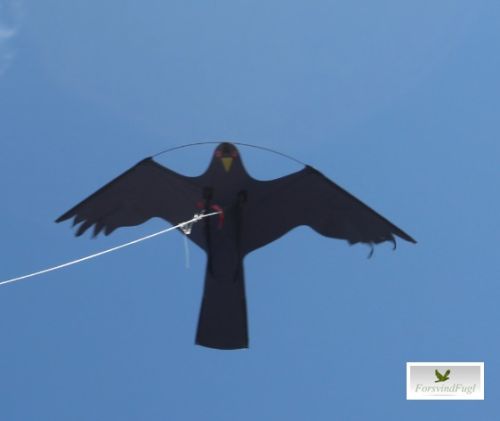 Vores klassiske sorte skræmmefugl