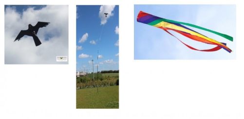 Eksempel på både sort fugl og vindpose (regnbue)