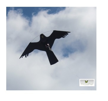 Billede af Skræmmefugle 2 styk sorte til mågeskræmmer