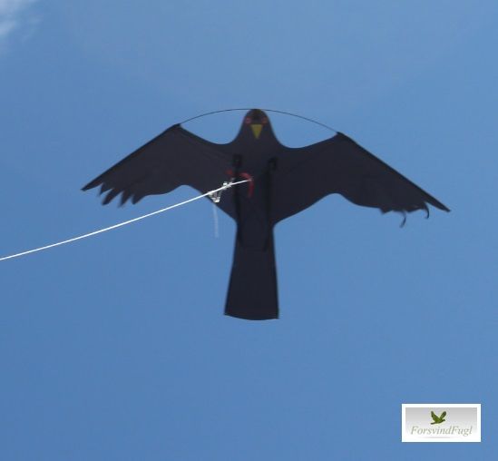 Skræmmefugle PÅ ABONNEMENT