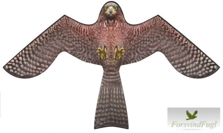 Billede af Skræmmefugl brun ørn til mågeskræmmer