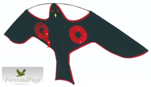 Skræmmefugl sort høg med røde laser øjne på vingen