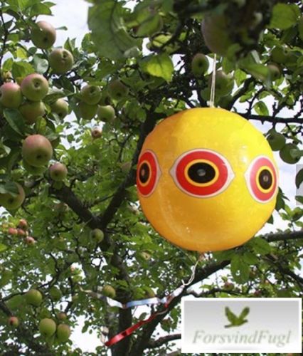 Et gult Terror eye i et æbletræ