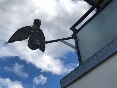 Terror ugle nede fra på penthouse tagterrasse