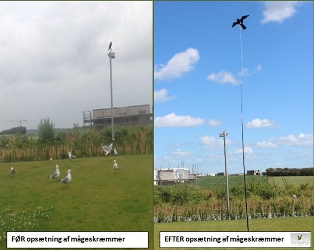 Mågeskæmmer 7 meter Classic+ model