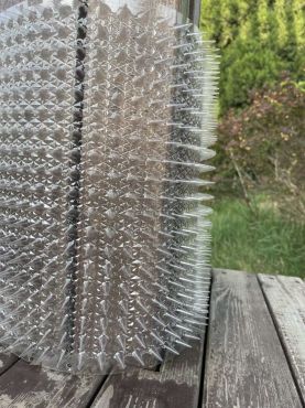 Kattepigge i transparent plast kan bukkes