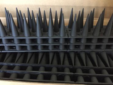 Fuglepigge sort i kasse