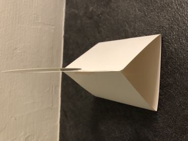 Eneste DUAL fælde mod både mad- og klædemøl