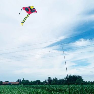 Delta Skræmmedrage i luften