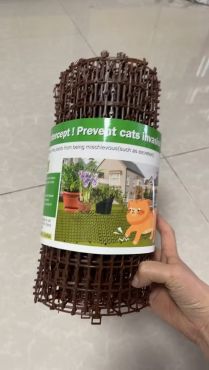 Kattepigge på rulle i BRUN